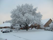 Snow01Sm.jpg