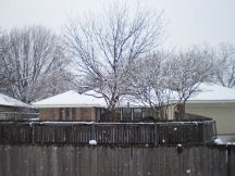 Snow05Sm.jpg