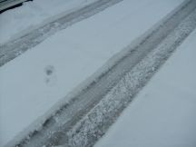 Snow10Sm.jpg
