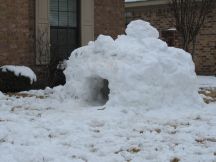 SnowfortSm.jpg