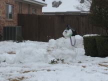 Snowman11Sm.jpg