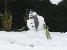 Snowman3Sm.jpg