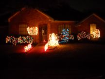 XmasLights%20002Sm.jpg