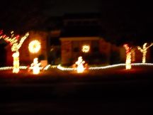 XmasLights%20003Sm.jpg