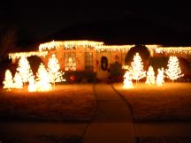 XmasLights%20005Sm.jpg