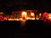 XmasLights%20015Sm.jpg