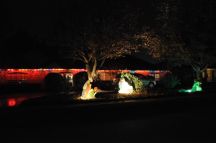 XmasLights%20080Sm.jpg
