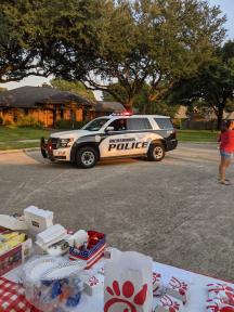 2020NNO02Sm.jpg