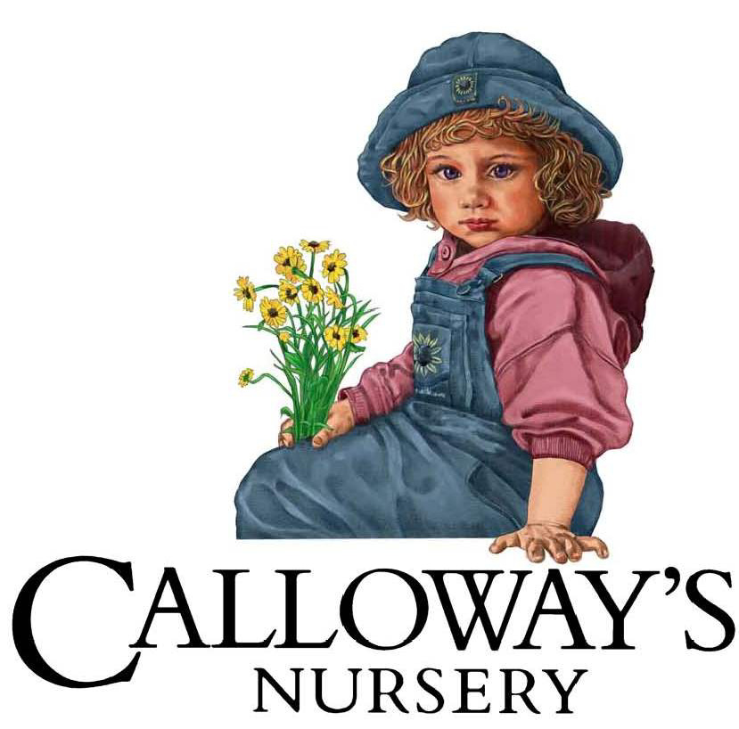 CallowayLogo.jpg